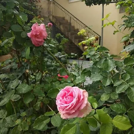 Villa ευχάριστο σπίτι με ωραίο κήπο Pülosz