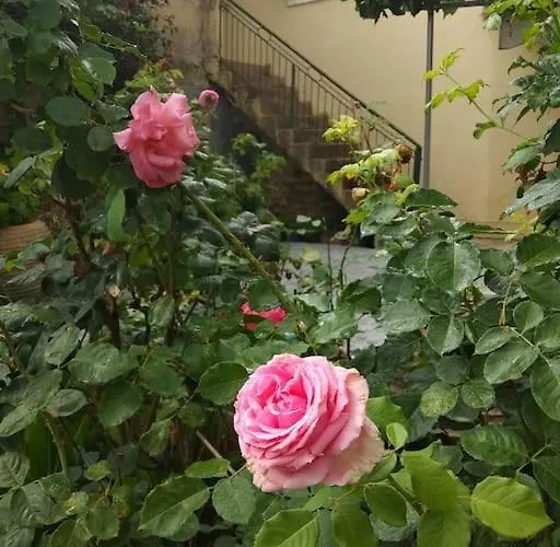 Villa ευχάριστο σπίτι με ωραίο κήπο Pylos